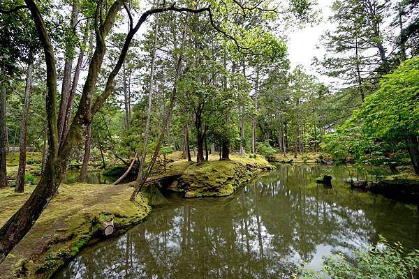 京都新綠︱初夏。二訪世界遺產《西芳寺（苔寺）》（含申請方式）