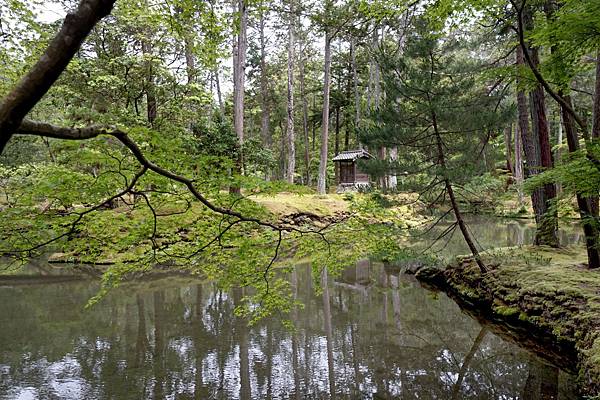 京都新綠︱初夏。二訪世界遺產《西芳寺（苔寺）》（含申請方式）