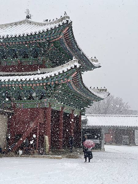 2023/12/29（五）~2024/1/2（二）韓國。首爾