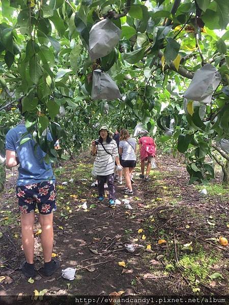 〔韓國｜首爾〕九月份交換生活／漢陽大學／語學堂（三）