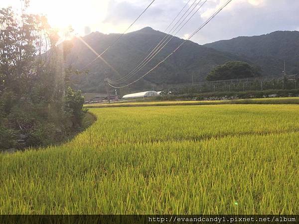 〔韓國｜首爾〕九月份交換生活／漢陽大學／語學堂（三）