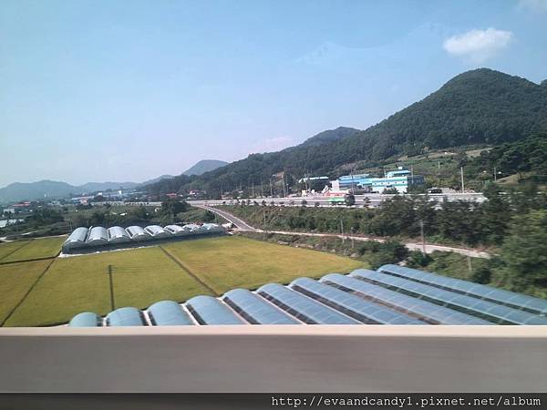 〔韓國｜首爾〕九月份交換生活／漢陽大學／語學堂（三）