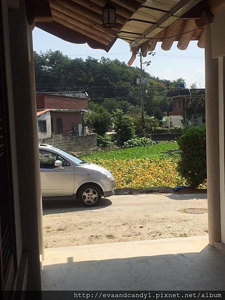 〔韓國|首爾〕九月份交換生活/漢陽大學/語學堂(三) 〔韓國|首爾〕九月份交換生活/漢陽大學/語學堂(三)