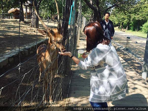 〔韓國｜首爾〕十月份交換生活／漢陽大學／語學堂（一）