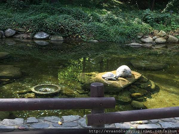 〔韓國｜首爾〕十月份交換生活／漢陽大學／語學堂（一）