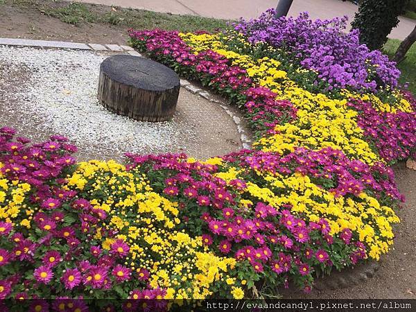 〔韓國｜首爾〕十月份交換生活／漢陽大學／語學堂（一）
