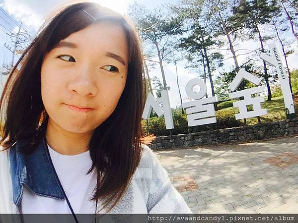 〔韓國｜首爾〕十月份交換生活／漢陽大學／語學堂（一）