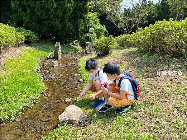 台北陽明山》從第一停車場 前往 前山公園》沿途風景老少咸宜半