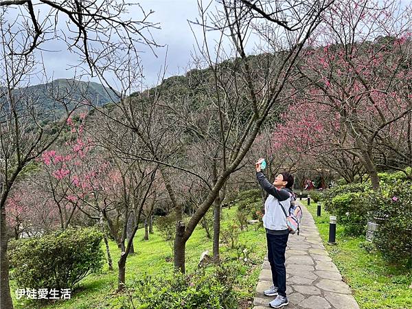 台北陽明山》從第一停車場 前往 前山公園》沿途風景老少咸宜半