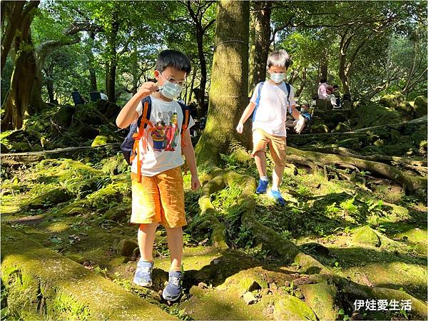 台北陽明山》從第一停車場 前往 前山公園》沿途風景老少咸宜半