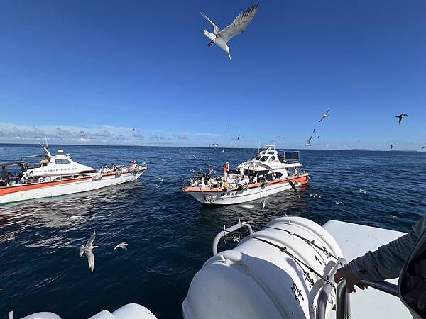 澎湖南方四島及七美島一日遊 | 參加Kkday得意遊艇公司