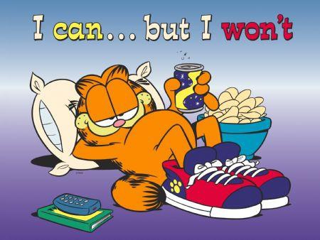 GarfieldLazy