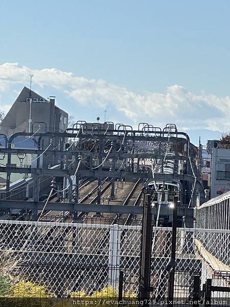 【遊記-玩】東京白髭泡芙工房(白髭のシュークリーム工房 代田