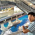 水族館20150716173316.jpg