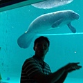 水族館20150716183350.jpg