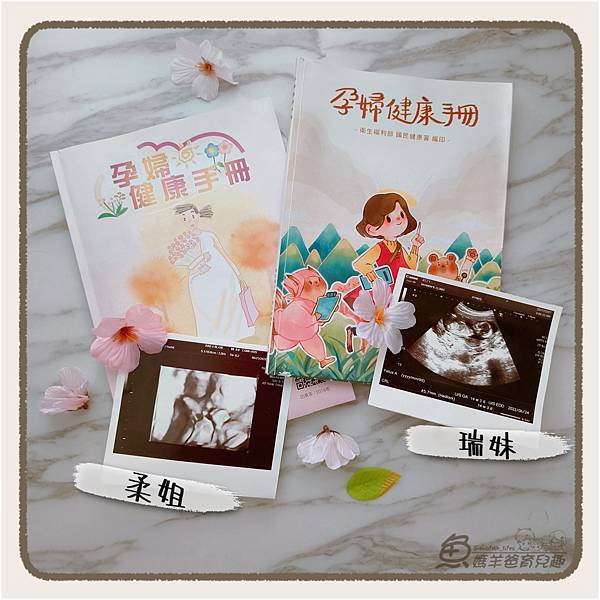 【開箱】輕鬆備孕好幫手_Eveline排卵檢測系統