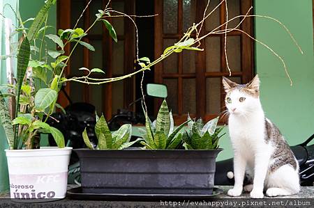 DSC01464 DSC01464