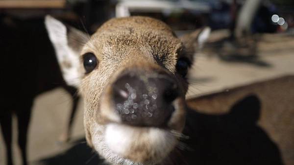 11227631_10153307729388255_3120675791646427660_o