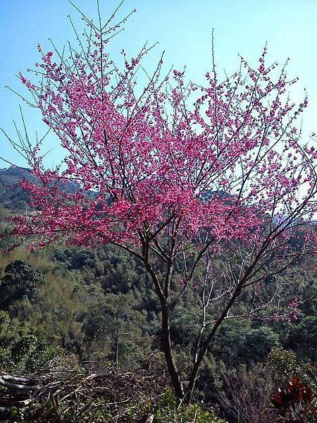 16427569_1338322812878055_8085954727147256225_n.jpg 16427569_1338322812878055_8085954727147256225_n.jpg