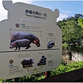 動物園-66.jpg