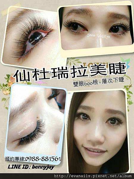 仙杜瑞拉三茶花 仙杜瑞拉三茶花