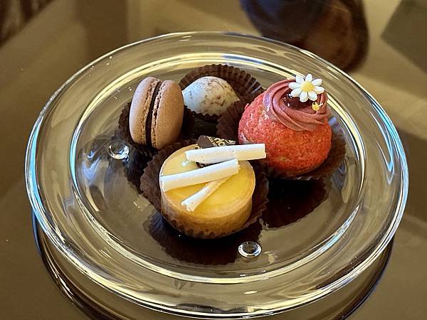 20230524_171005-2312853 20230524_171005-2312853