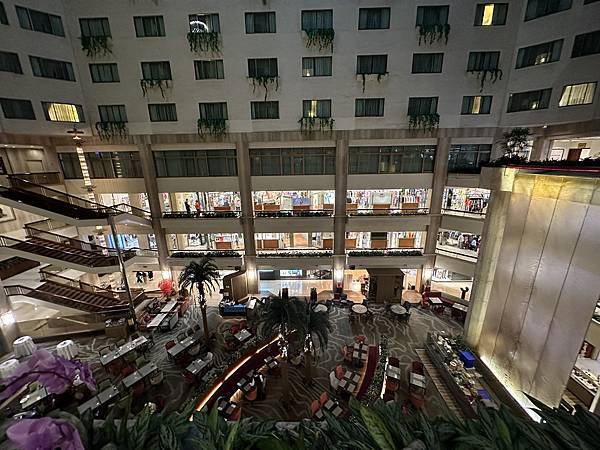 20230524_172052-2843346 20230524_172052-2843346