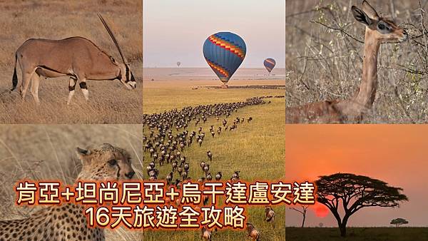 2025年【國外旅遊】非洲肯亞+坦尚尼亞+烏干達 16日旅遊