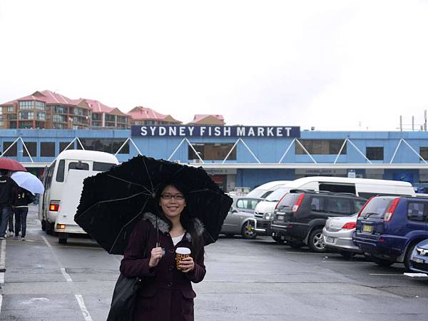第一站-sydney fish market
