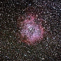 薔薇星雲 NGC 2244