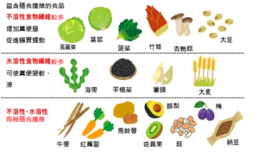 膳食纖維排便