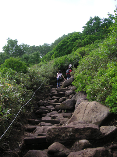 難走的山路