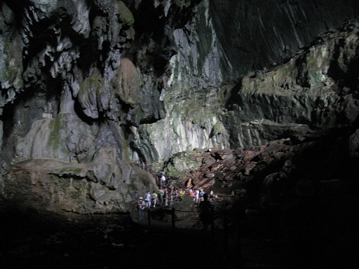  Mulu N.P. ~ 廣闊的 Deer Cave