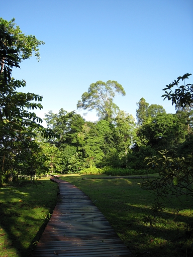 Mulu N.P. ~ 一大早的步道