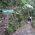 Kinabalu N.P. ~ Summit Trail 