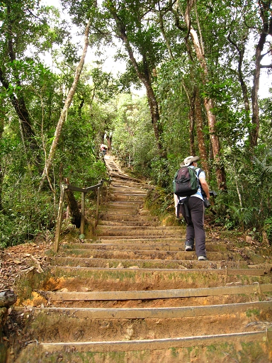 Kinabalu N.P. ~ Summit Trail 有爬不完的階梯