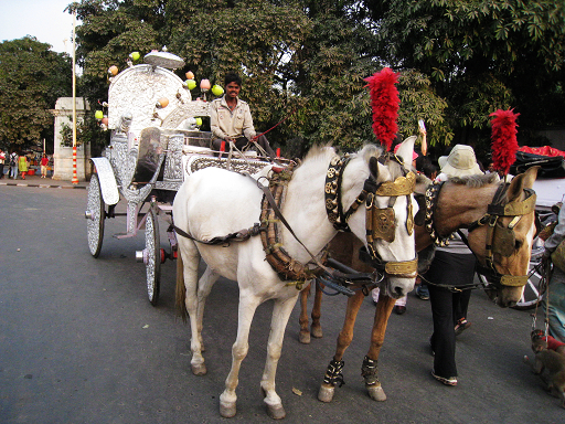 Victoria Memorial Hall（Kolkata）～門前的華麗馬車