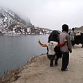 Tsomgo Lake（Gangtok）～沒做成生意的青年和犛牛
