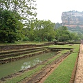 希基利亞（Sigiriya）～鷺鷥點綴的貯水池