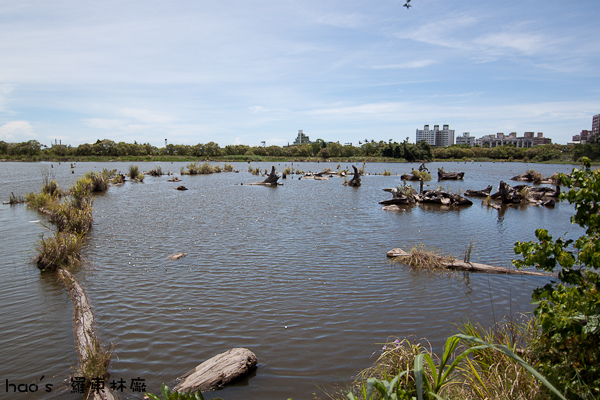 20140720羅東林廠41.jpg