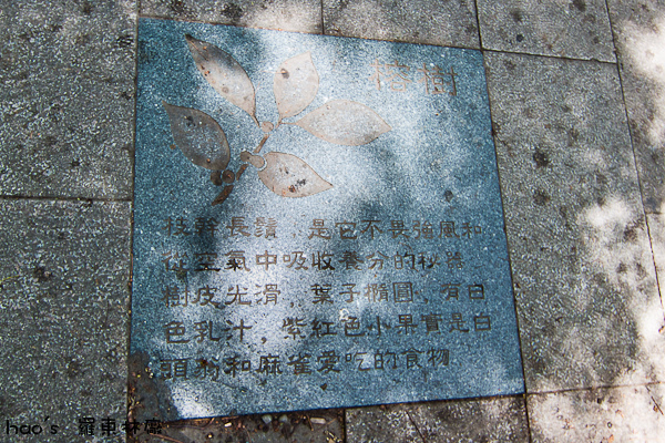 20140720羅東林廠89.jpg