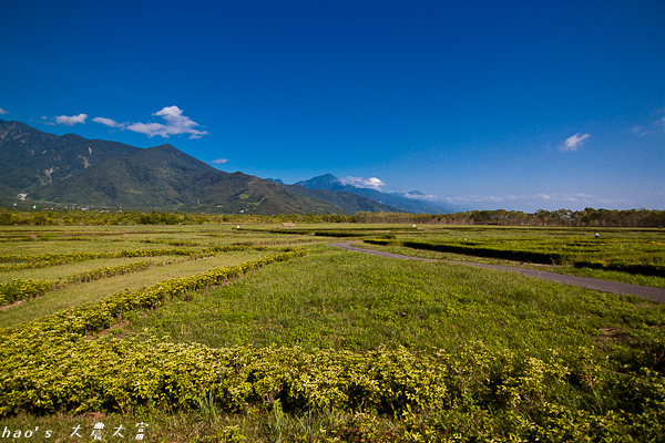 20141011大農大富30.jpg