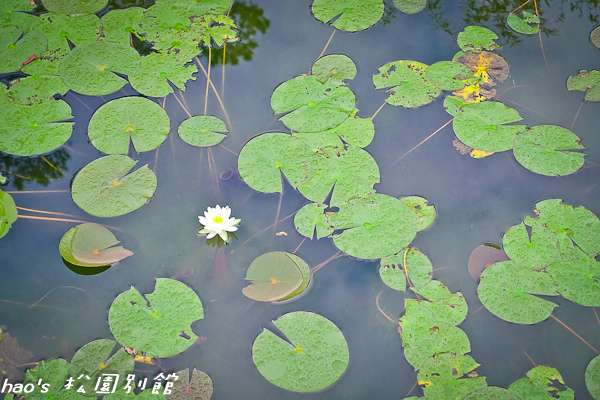 201504松園29.jpg