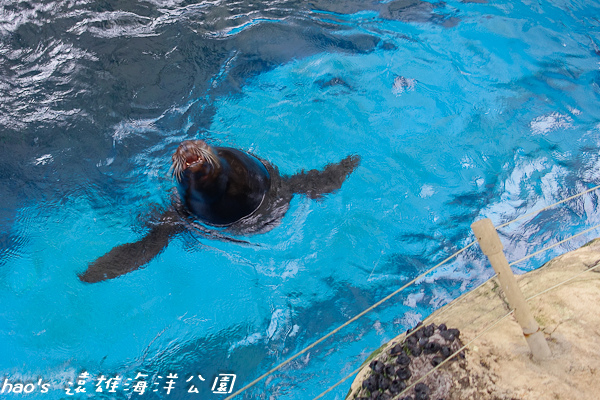 201504遠雄海洋公園亂逛及遊樂設施145.jpg