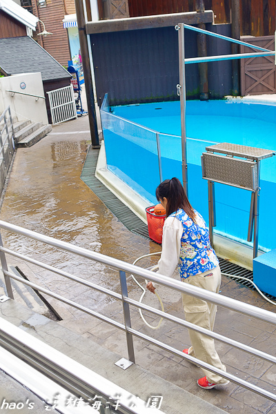 201504遠雄海洋公園遠雄海洋海獅21.jpg