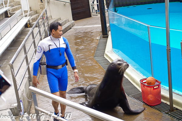 201504遠雄海洋公園遠雄海洋海獅23.jpg