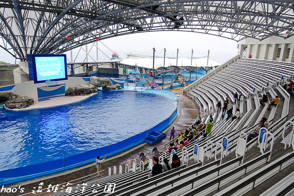 201504遠雄海洋公園海豚49.jpg