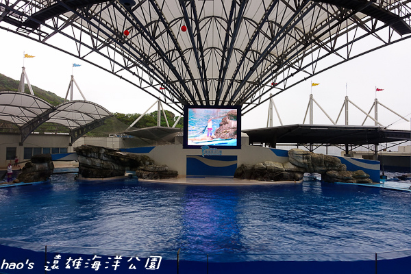 201504遠雄海洋公園海豚54.jpg