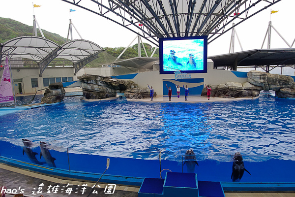 201504遠雄海洋公園海豚57.jpg