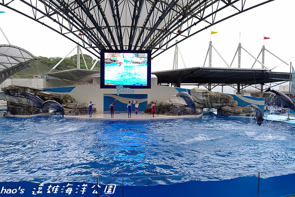 201504遠雄海洋公園海豚58.jpg